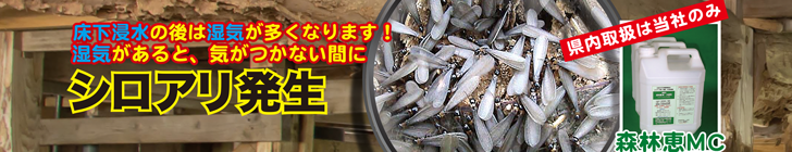 footer_cta_ad